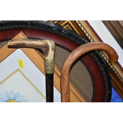 484 - A BOX AND LOOSE CERAMICS, PICTURES, LAMPS AND SUNDRY ITEMS, to include Honiton pottery animal money ... 