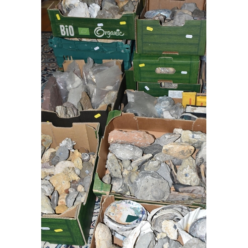 586 - ELEVEN BOXES OF FOSSILS, MINERALS, SHELLS AND ROCKS, hundreds of specimens including fossilized anim... 