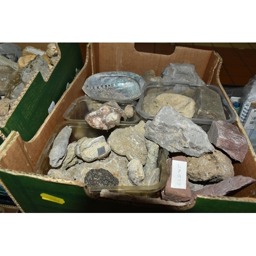 586 - ELEVEN BOXES OF FOSSILS, MINERALS, SHELLS AND ROCKS, hundreds of specimens including fossilized anim... 