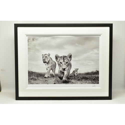 306 - ANUP SHAH (KENYA CONTEMPORARY) 'ON THE MOVE', a signed limited edition photographic print depicting ... 