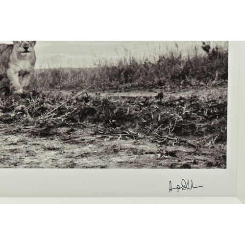 306 - ANUP SHAH (KENYA CONTEMPORARY) 'ON THE MOVE', a signed limited edition photographic print depicting ... 