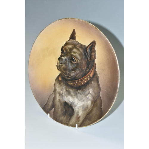 357 - A NORITAKE WALL PLATE, decorated with a raised hand painted design of a bulldog, green back stamp R.... 