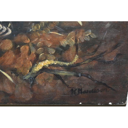 465 - JOHN CYRIL HARRISON (1898-1985) WOODCOCK AT AUTUMN, a study of a Woodcock nestled amongst fallen oak... 