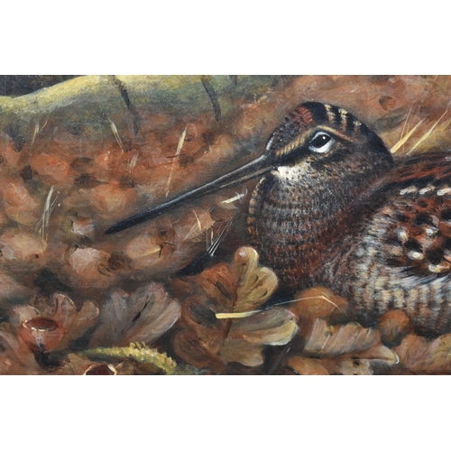 465 - JOHN CYRIL HARRISON (1898-1985) WOODCOCK AT AUTUMN, a study of a Woodcock nestled amongst fallen oak... 