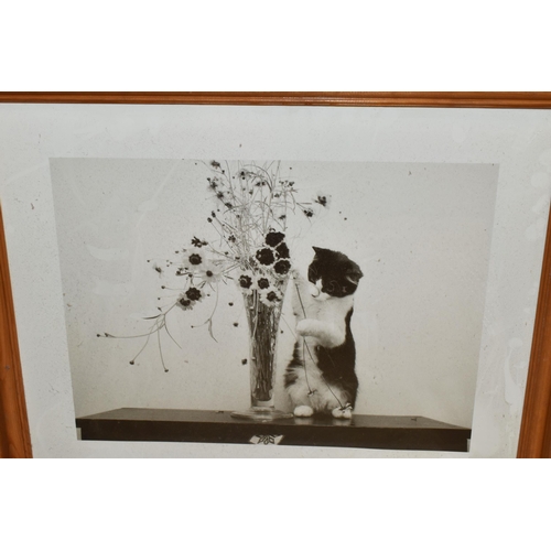 504 - A QUANTITY OF ASSORTED FRAMED PRINTS, artists include Emile Isenbart, Lindle Eric Forse, Gerald Coul... 