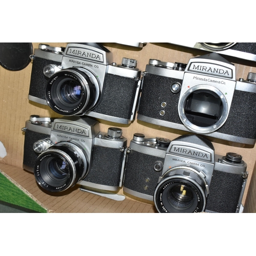 594 - A BOX OF TWELVE MIRANDA 35MM SLR CAMERA BODIES, together with eleven Miranda standard focal length l... 