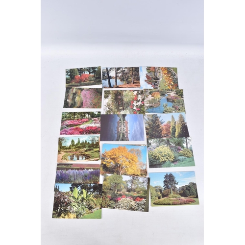 319 - A LARGE COLLECTION OF POSTCARDS, approximately 900 to include Westonbirt, Weston Turville, Westonvil... 