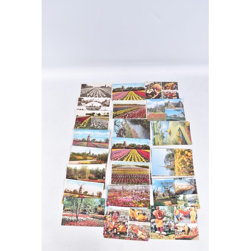 323 - A LARGE COLLECTION OF POSTCARDS, approximately 850 to include Southport, South Shields, Spalding, Sp... 