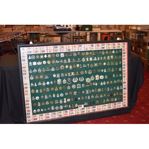 465 - A LARGE FRAMED COLLECTION OF MILITARY CAP BADGES AND COLLAR DOGS, from a wide range of British Army ... 