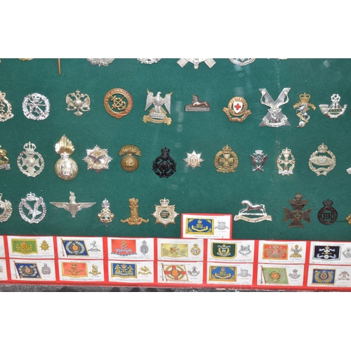 465 - A LARGE FRAMED COLLECTION OF MILITARY CAP BADGES AND COLLAR DOGS, from a wide range of British Army ... 