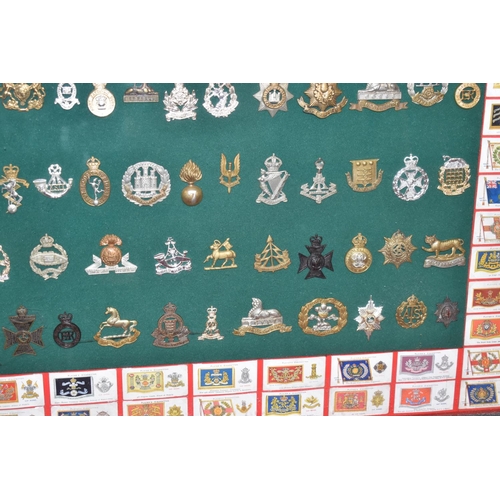 465 - A LARGE FRAMED COLLECTION OF MILITARY CAP BADGES AND COLLAR DOGS, from a wide range of British Army ... 