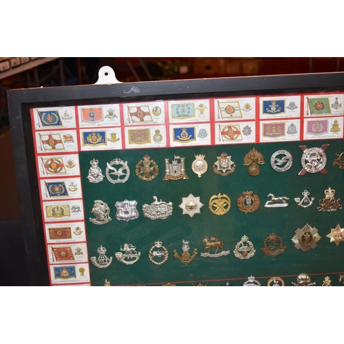 465 - A LARGE FRAMED COLLECTION OF MILITARY CAP BADGES AND COLLAR DOGS, from a wide range of British Army ... 