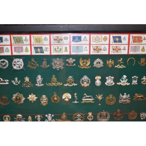 465 - A LARGE FRAMED COLLECTION OF MILITARY CAP BADGES AND COLLAR DOGS, from a wide range of British Army ... 