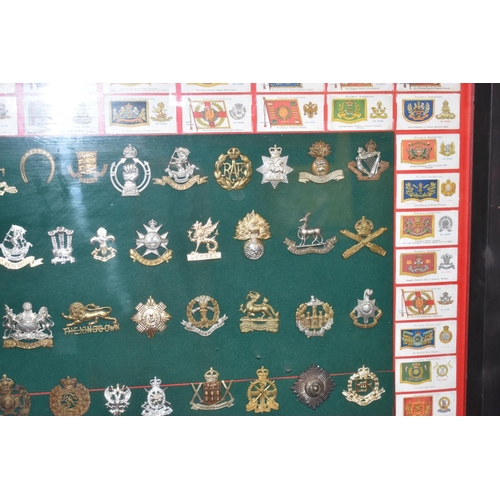 465 - A LARGE FRAMED COLLECTION OF MILITARY CAP BADGES AND COLLAR DOGS, from a wide range of British Army ... 