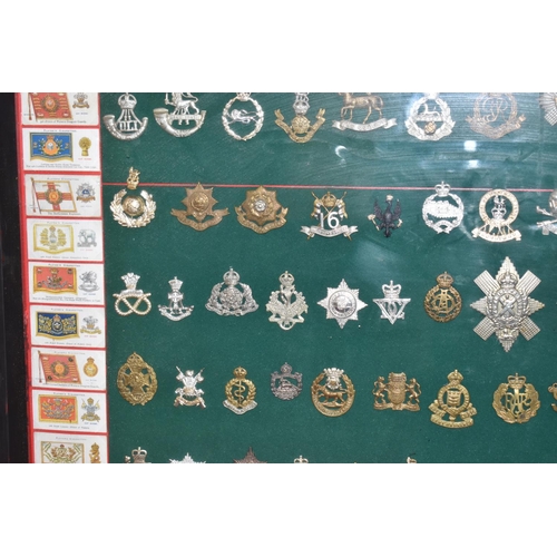 465 - A LARGE FRAMED COLLECTION OF MILITARY CAP BADGES AND COLLAR DOGS, from a wide range of British Army ... 