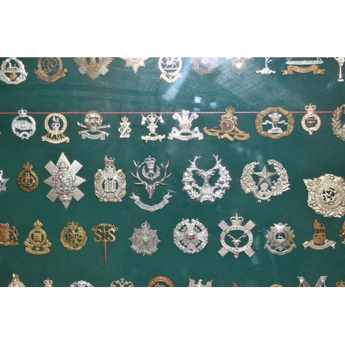 465 - A LARGE FRAMED COLLECTION OF MILITARY CAP BADGES AND COLLAR DOGS, from a wide range of British Army ... 