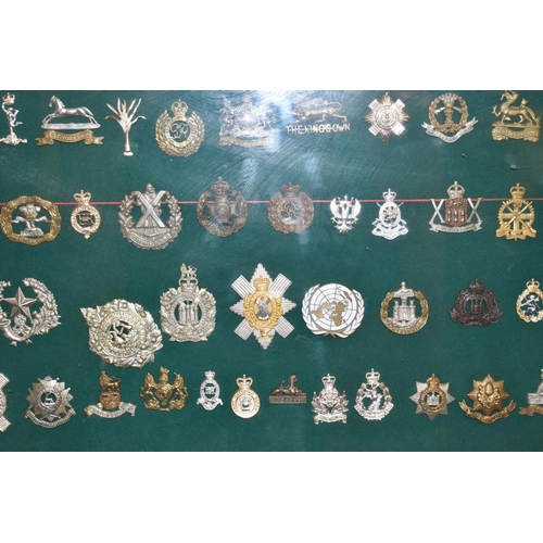 465 - A LARGE FRAMED COLLECTION OF MILITARY CAP BADGES AND COLLAR DOGS, from a wide range of British Army ... 