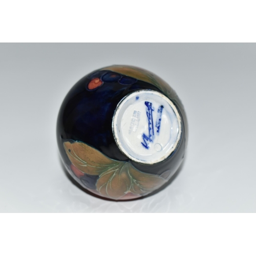 304 - A MOORCROFT POTTERY POMEGRANATE VASE, of squat form, tube lined in Pomegranate pattern on a deep blu... 