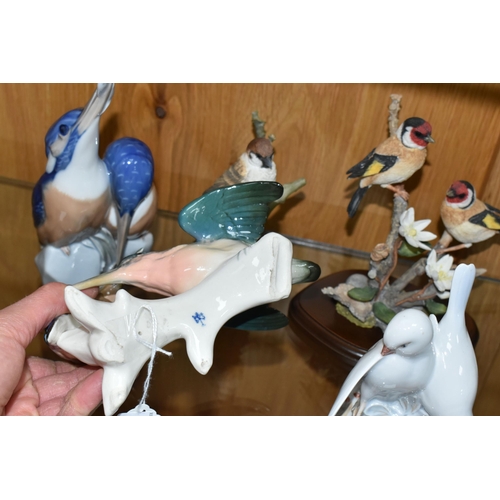 416 - A GROUP OF BIRD FIGURES, comprising a Karl Ens kingfisher figure group (a little light crazing), a R... 