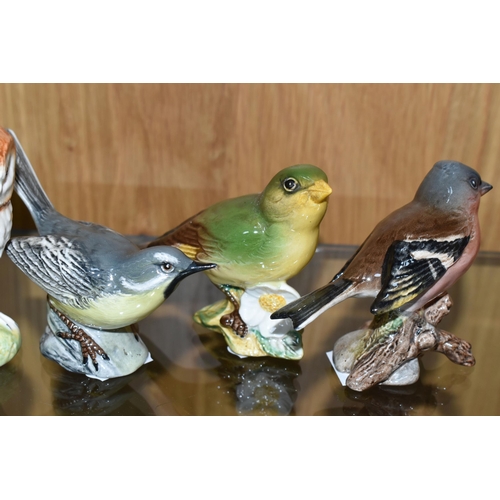 418 - A COLLECTION OF BESWICK BIRD FIGURES, comprising Wren no 993, Bullfinch no 1042, Goldfinch 2273, Gre... 