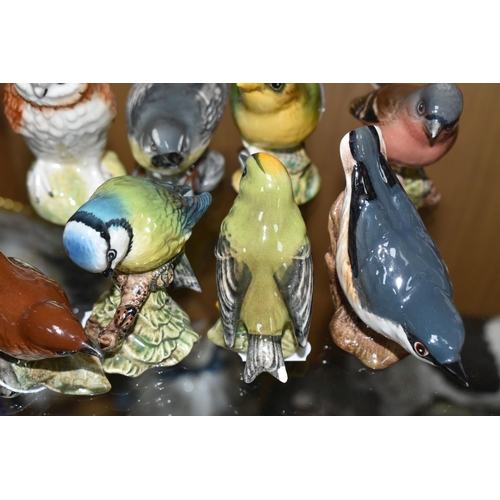 418 - A COLLECTION OF BESWICK BIRD FIGURES, comprising Wren no 993, Bullfinch no 1042, Goldfinch 2273, Gre... 