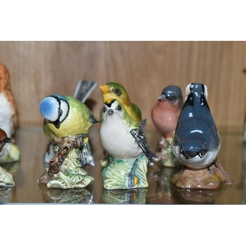 418 - A COLLECTION OF BESWICK BIRD FIGURES, comprising Wren no 993, Bullfinch no 1042, Goldfinch 2273, Gre... 