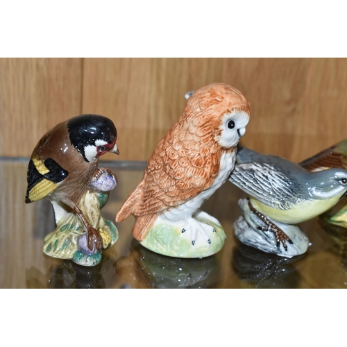 418 - A COLLECTION OF BESWICK BIRD FIGURES, comprising Wren no 993, Bullfinch no 1042, Goldfinch 2273, Gre... 