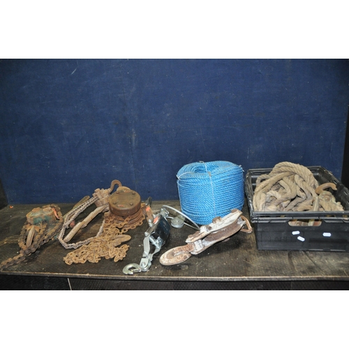 1094 - A QUANTITY OF LIFTING EQUIPMENT including two Yale Pul-lifts, a Pelco chain hoist, a rope and pulley... 