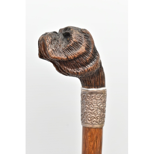 109 - A LATE VICTORIAN NOVELTY WALKING STICK WITH CARVED WOODEN DOG'S HEAD HANDLE, fitted with glass eyes,... 