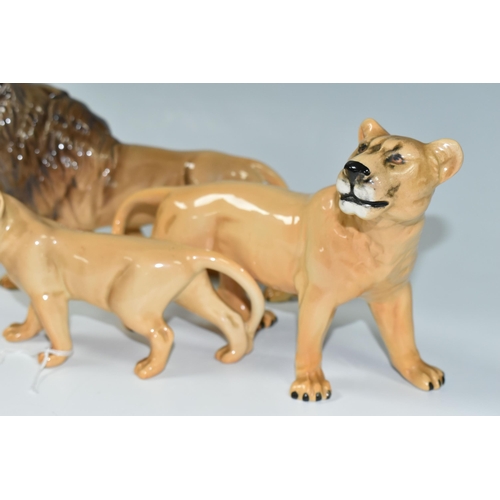 359 - A FAMILY OF BESWICK LIONS, three figures comprising model numbers  2089 Lion, 2097 Lioness and 2098 ... 