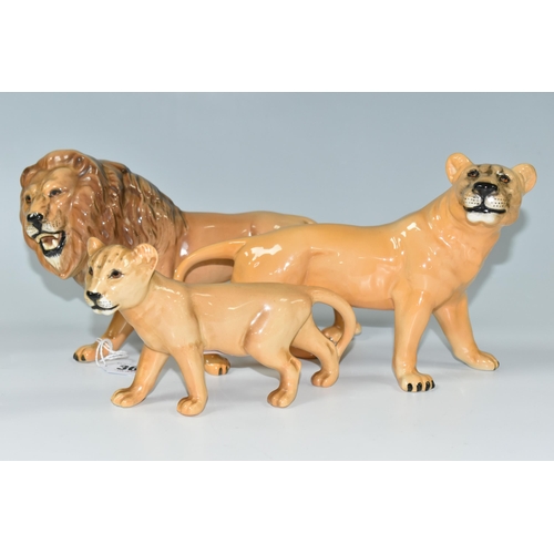 365 - A FAMILY OF BESWICK LIONS, three figures comprising model numbers  2089 Lion, 2097 Lioness and 2098 ... 