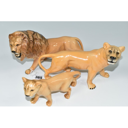 365 - A FAMILY OF BESWICK LIONS, three figures comprising model numbers  2089 Lion, 2097 Lioness and 2098 ... 