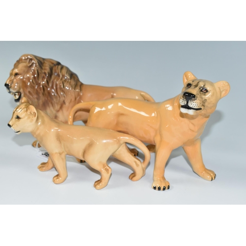 365 - A FAMILY OF BESWICK LIONS, three figures comprising model numbers  2089 Lion, 2097 Lioness and 2098 ... 