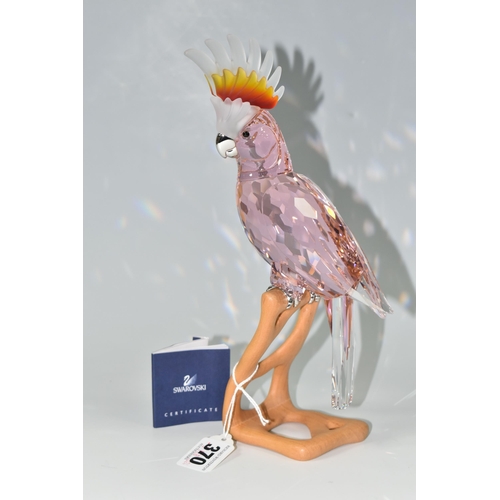 370 - A BOXED SWAROVSKI CRYSTAL BIRDS OF PARADISE 'COCKATOO RED' SCULPTURE, model no 718565, on a wooden s... 