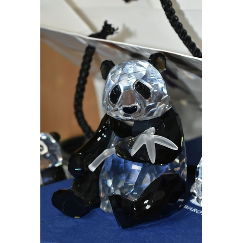 396 - FOUR BOXED SWAROVSKI CRYSTAL PANDA SCULPTURES, comprising  2008 Annual Edition Pandas - Panda Mother... 