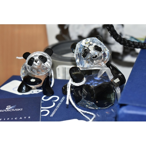 396 - FOUR BOXED SWAROVSKI CRYSTAL PANDA SCULPTURES, comprising  2008 Annual Edition Pandas - Panda Mother... 