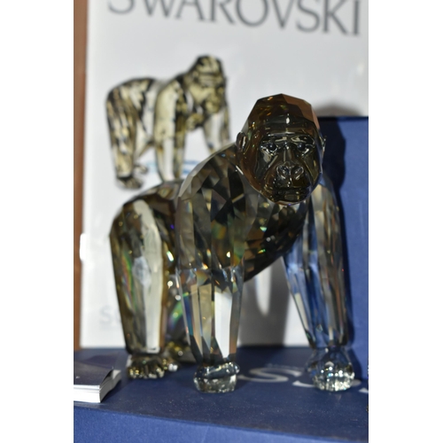 399 - THREE BOXED SWAROVSKI CRYSTAL 2009 ANNUAL EDITION GORILLA SCULPTURES, from the Endangered Wildlife t... 