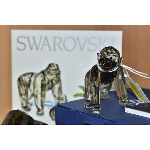 399 - THREE BOXED SWAROVSKI CRYSTAL 2009 ANNUAL EDITION GORILLA SCULPTURES, from the Endangered Wildlife t... 