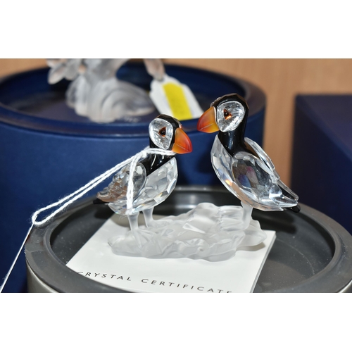 402 - FIVE BOXED SWAROVSKI CRYSTAL SCULPTURES OF BIRDS, from the Feathered Beauties collection, comprising... 