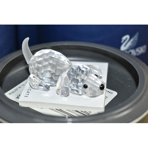 408 - EIGHT BOXED SWAROVSKI CRYSTAL CATS AND DOG FIGURINES, comprising Dalmatian Mother 628948 from the pe... 