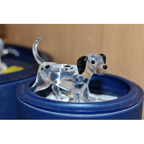 408 - EIGHT BOXED SWAROVSKI CRYSTAL CATS AND DOG FIGURINES, comprising Dalmatian Mother 628948 from the pe... 