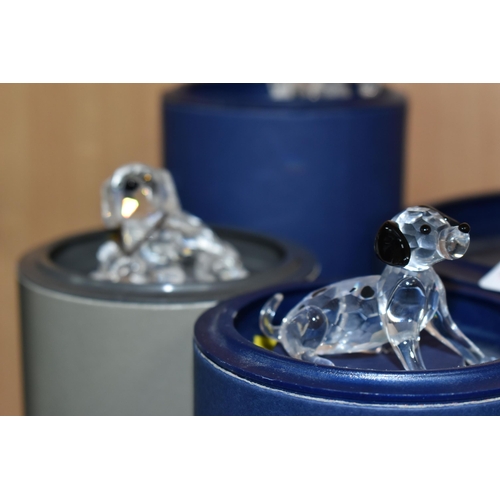 408 - EIGHT BOXED SWAROVSKI CRYSTAL CATS AND DOG FIGURINES, comprising Dalmatian Mother 628948 from the pe... 