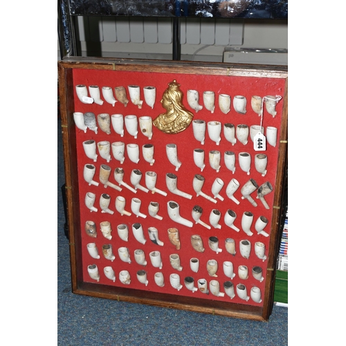 444 - A MODERN GLAZED DISPLAY CASE CONTAINING NINETY ONE MOUNTED CLAY PIPE BOWLS AND A GILT SIDE PROFILE P... 