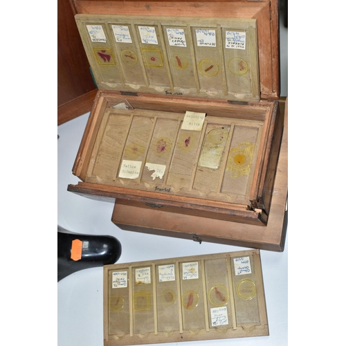 463 - A CASED MICROSCOPE AND VINTAGE PREPARED SLIDES, comprising a B & J Beck Ltd cased microscope, and tw... 