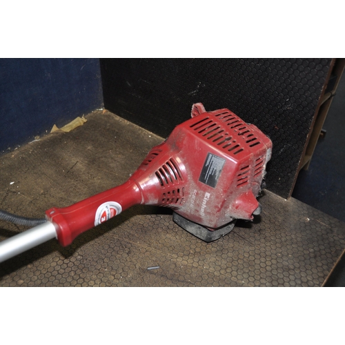 1162 - AN EINHELL GC BC 25 AS PETROL STRIMMER with brush cutting head fitted (engine pulls freely but hasn'... 