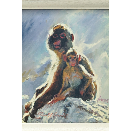 303 - ROLF HARRIS (AUSTRALIA 1930-2023) 'BACKLIT BABOONS - GIBRALTAR', a signed limited edition print on b... 