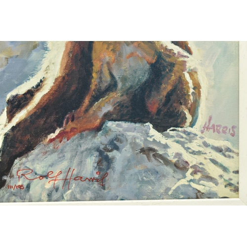 303 - ROLF HARRIS (AUSTRALIA 1930-2023) 'BACKLIT BABOONS - GIBRALTAR', a signed limited edition print on b... 