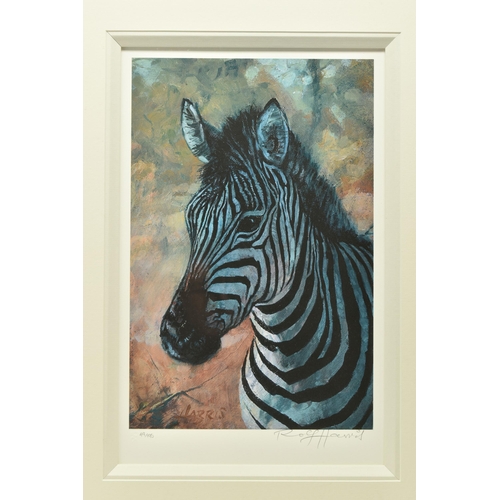 304 - ROLF HARRIS (AUSTRALIA 1930-2023) 'YOUNG ZEBRA', a signed limited edition print on paper, 49/195, wi... 