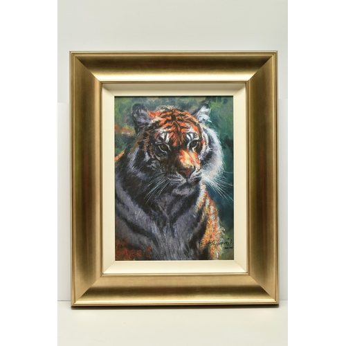 307 - ROLF HARRIS (AUSTRALIA 1930-2023)  'TIGER IN THE SUN', a signed limited edition print on canvas boar... 