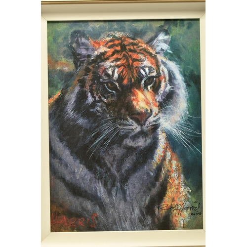 307 - ROLF HARRIS (AUSTRALIA 1930-2023)  'TIGER IN THE SUN', a signed limited edition print on canvas boar... 